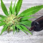 Discover How CBD Oil Could Help You With Tinnitus Relief